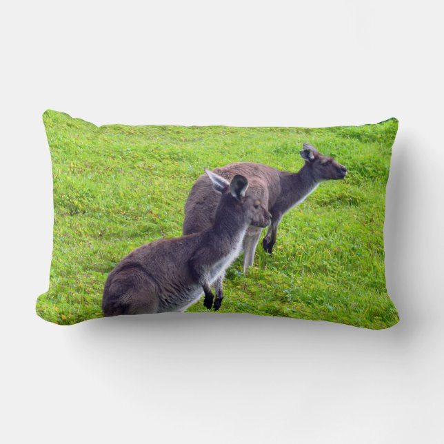 Horisonter utan gränser: Grått Kangaroos på Grassy Lumbarkudde (Framsida)
