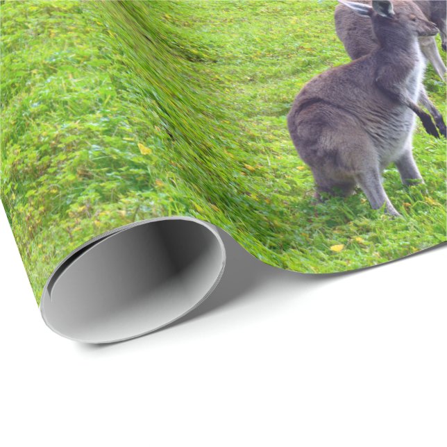 Horisonter utan gränser: Grått Kangaroos på Grassy Presentpapper (Rullad Hörn)