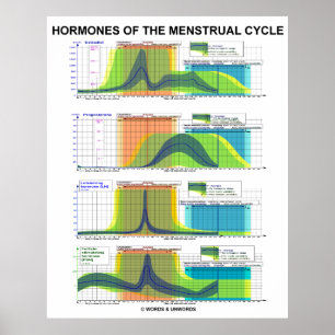 Hormoner i menstruationscykeln poster