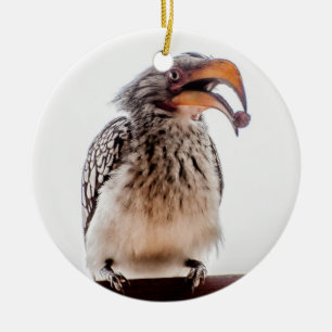 Hornbill med utsäde i munnen julgransprydnad keramik