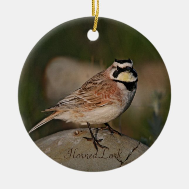 Horned Lark Bird Photography Round Julgransprydnad Keramik (Framsidan)