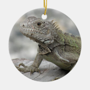 Horned leguanprydnad julgransprydnad keramik