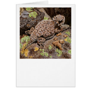 Horned Lizard Card OBS Kort