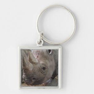 Horned noshörning Keychain Fyrkantig Silverfärgad Nyckelring