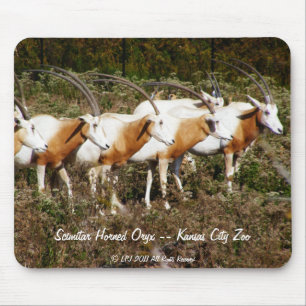 Horned oryxantilopmousepad för Scimitar Musmatta