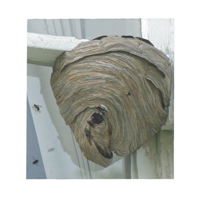 Hornets Nest Anteckningsblock (Framsida)