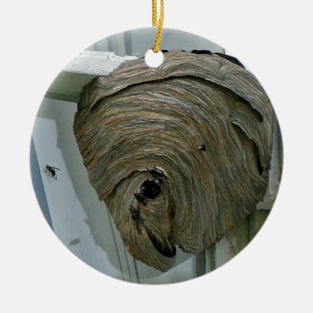 Hornets Nest Ornament (Framsidan)