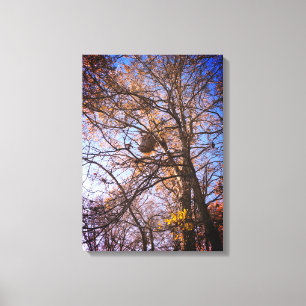 Hornets Nest på canvas
