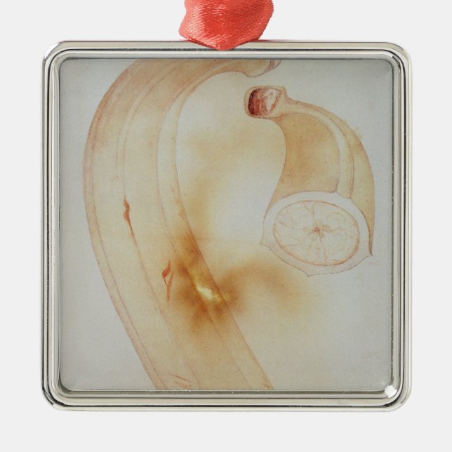 HornPlantain Julgransprydnad Metall (Framsidan)