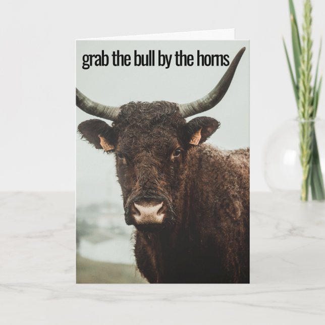 Horns Grab the Bull Kort (Framsida)