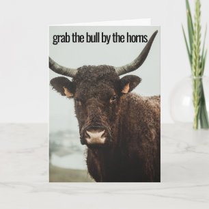 Horns Grab the Bull Kort