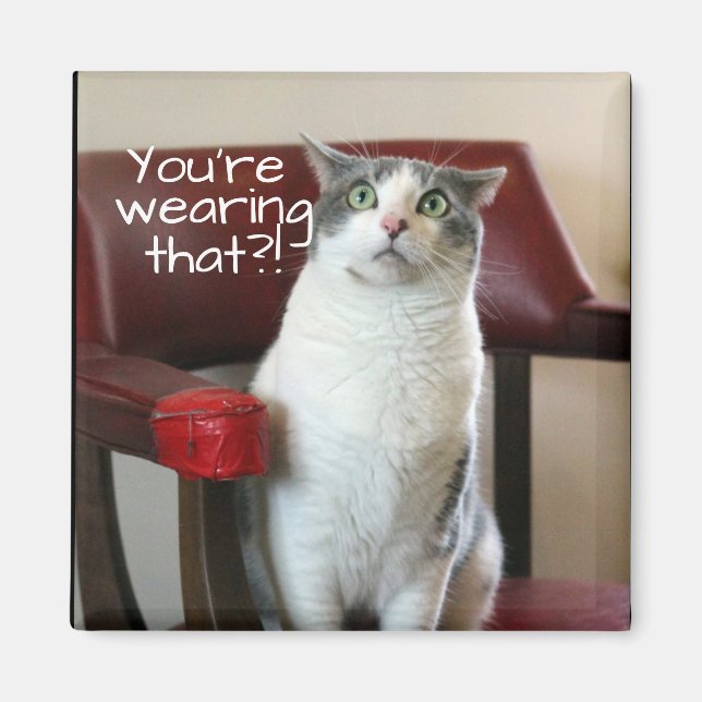 Horrified Cat Magnet (Framsidan)