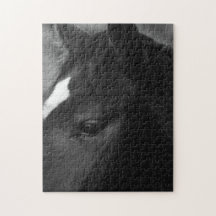 Horse 11x14 252pc jpcnm