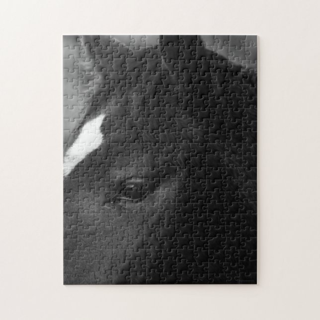 Horse 11x14 252pc jpcnm pussel (Vertikal)