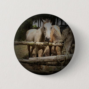 HORSE 1-knapp Knapp