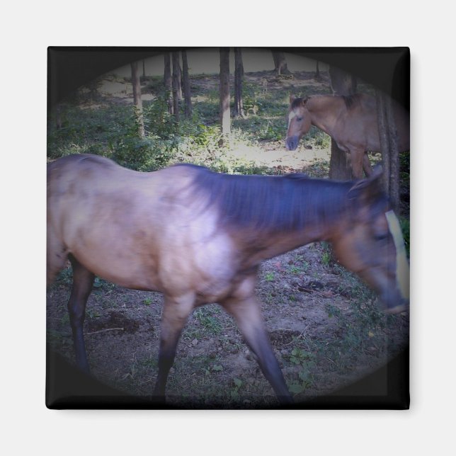 Horse 2 Magnet (Framsidan)