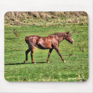 Horse-älskare Benice Equine Animal Design Musmatta