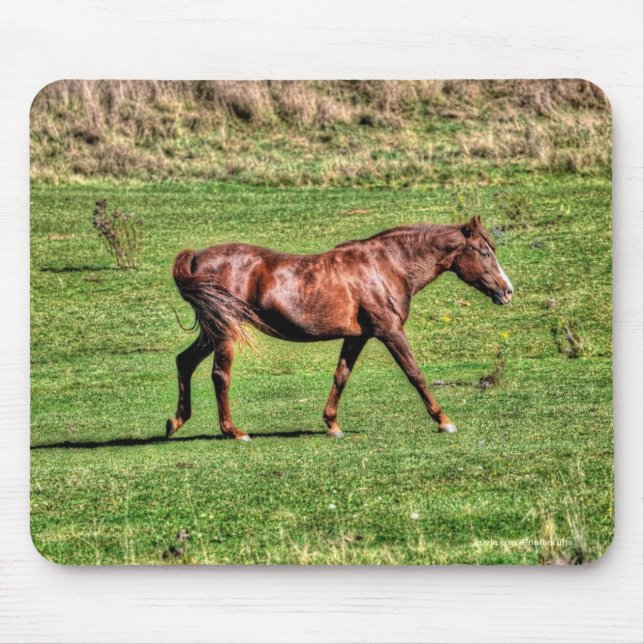 Horse-älskare Benice Equine Animal Design Musmatta (Framsidan)