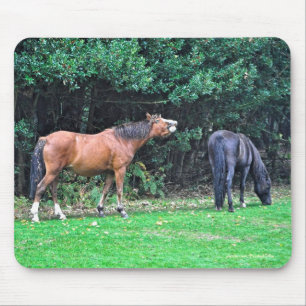 Horse-älskare Benice Equine Animal Design Musmatta