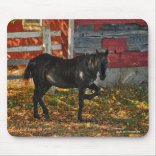 Horse-älskare Benice Equine Animal Design Musmatta