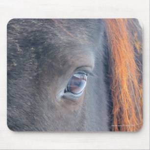 Horse-älskare Benice Horses djurdesign i Öga Musmatta