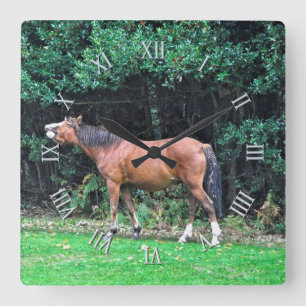 Horse-älskare Equine Animal-älskare Gift Fyrkantig Klocka