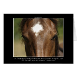 Horse-älskare Equine Animal-älskare Gift Hälsningskort