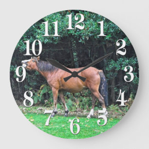 Horse-älskare Equine Animal-älskare Gift Stor Klocka