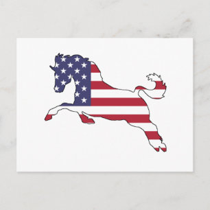 Horse "American Flagga" Vykort
