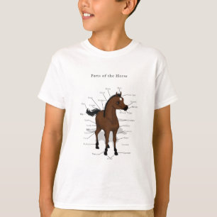 Horse Anatomy Chart på Bay Foal med Star T Shirt