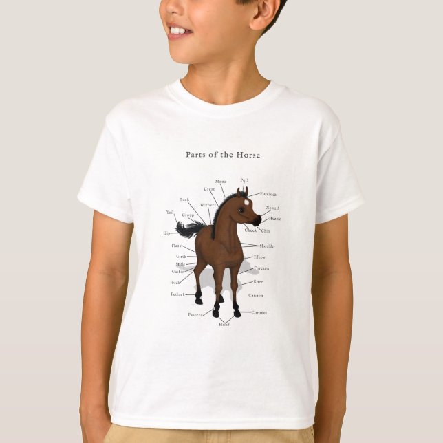 Horse Anatomy Chart på Bay Foal med Star T Shirt (Framsida)