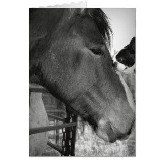 Horse and Boston Terrior Hälsningskort