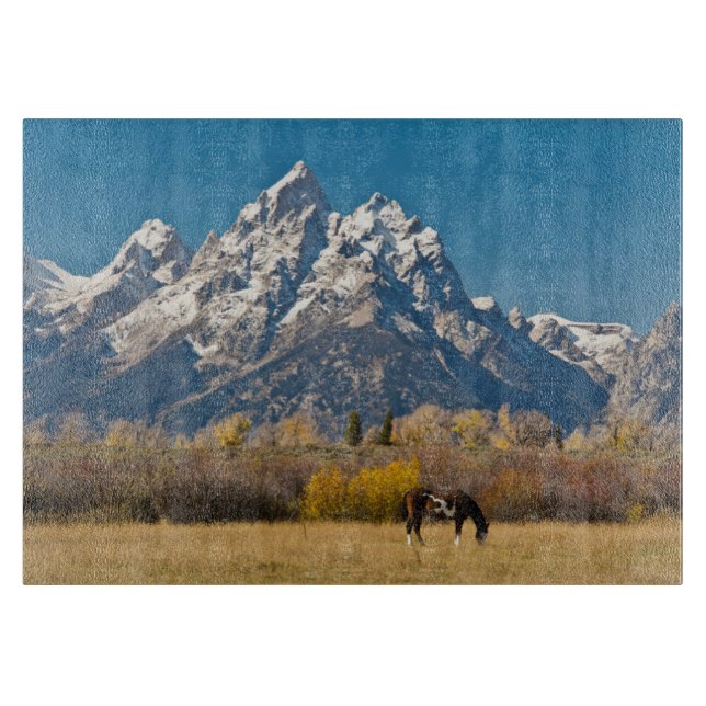 Horse and Grand Tetons, moose Head Ranch (Framsidan)