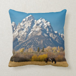 Horse and Grand Tetons, moose Head Ranch Kudde