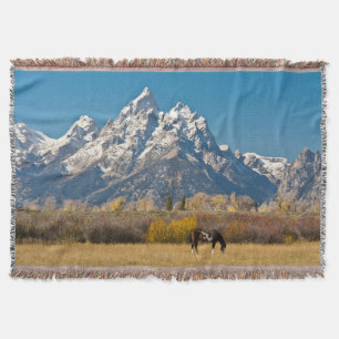 Horse and Grand Tetons, moose Head Ranch Mysfilt