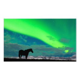 Horse and Northern Ljus, Yukon Fototryck