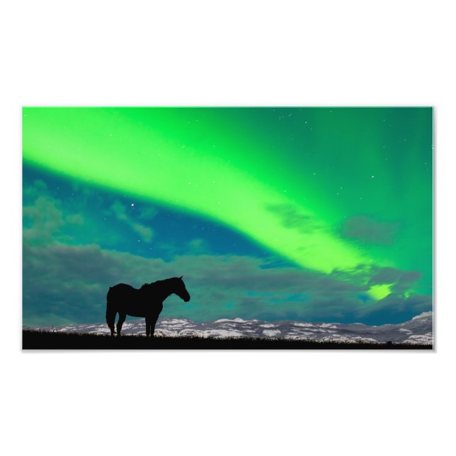 Horse and Northern Ljus, Yukon Fototryck (Framsidan)