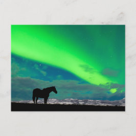Horse and Northern Ljus, Yukon Vykort
