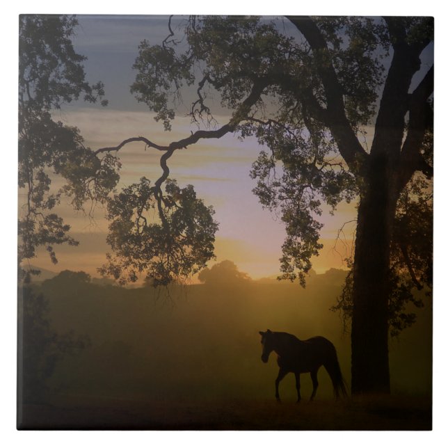 Horse and Oak Träd Sunset Art Tile Kakelplatta (Framsidan)