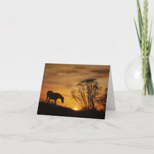 Horse and Sunset Deepest Sympathy Kort