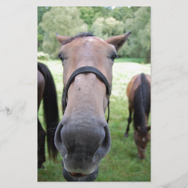 Horse ansikte brevpapper (Framsida)