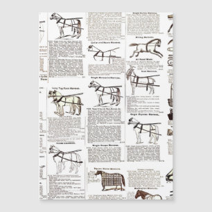 Horse Antique Repress Newspaper Art