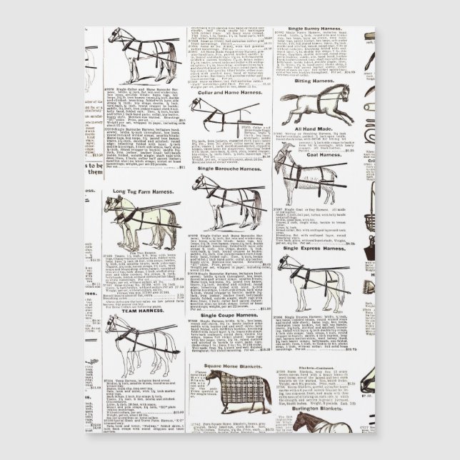 Horse Antique Repress Newspaper Art (Framsida)