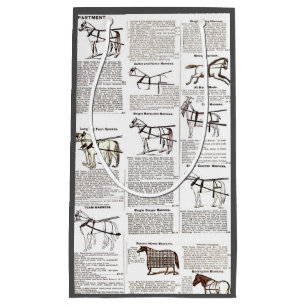 Horse Antique Repress Newspaper Art