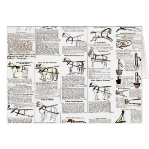 Horse Antique Repress Newspaper Art Hälsningskort