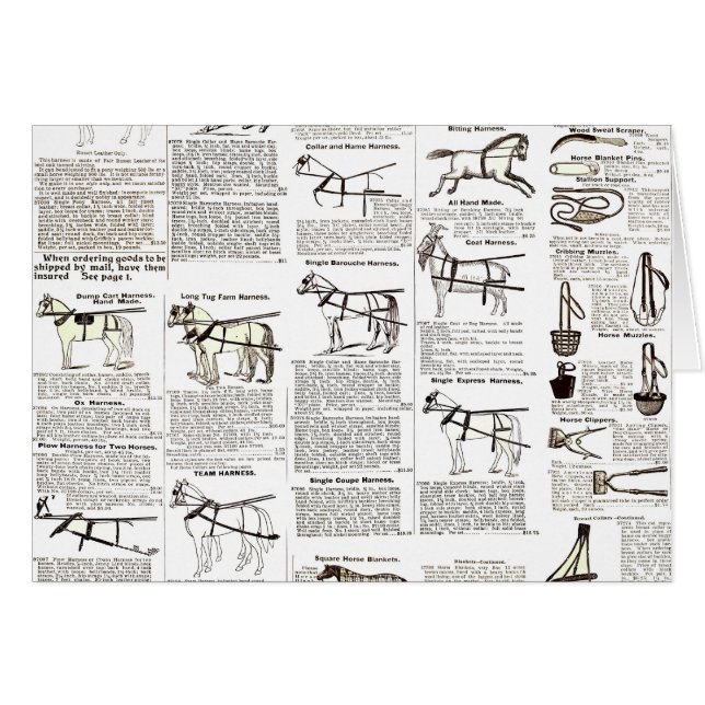 Horse Antique Repress Newspaper Art Hälsningskort (Framsidan Horizontal)