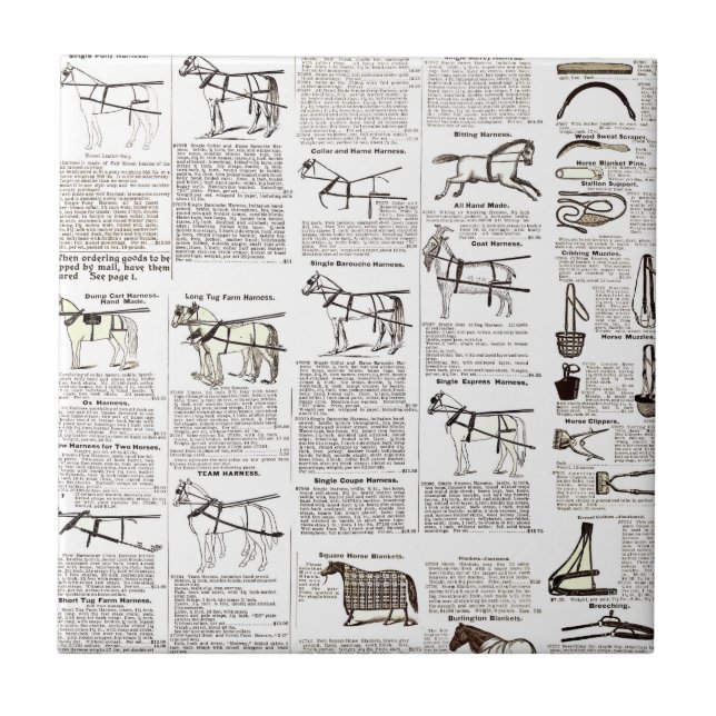 Horse Antique Repress Newspaper Art Kakelplatta (Framsidan)