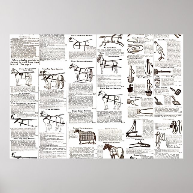 Horse Antique Repress Newspaper Art Poster (Framsidan)