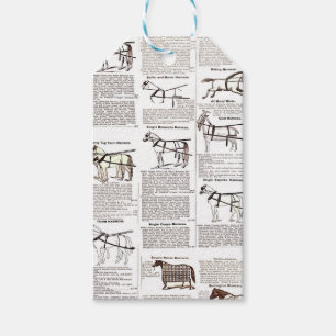 Horse Antique Repress Newspaper Art Presentetikett