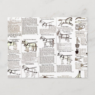 Horse Antique Repress Newspaper Art Vykort